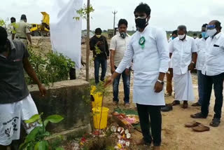 jagannanna-pachatoranam-plant-planted-mp