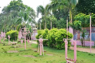 Pink Gardens in bhilai