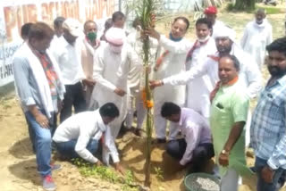 भाजपा कार्यकर्ताओं ने लगाएं पौधे, BJP workers planted saplings