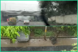 water logging in noida after heavy rain know delhi ncr rain news