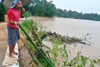 flood situation of Dhubri assam etv bharat news