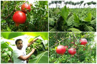 lockdown effect on farmers