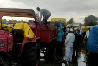 onion in a tractor soaked by rain