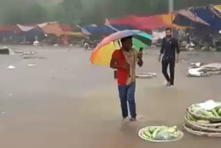 Vegetables of shopkeepers were washed away due to waterlogging in Mehrauli sabji mandi