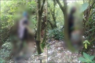 Dead body of a boy found  in Sakomochan forest