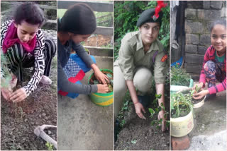 NCC cadets planted saplings