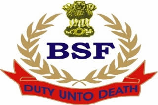 BSF  BSF jawan  Smuggling case  Indo-Pak International Border  BSF jawan sacked  കള്ളക്കടത്ത്  ; ബിഎസ്എഫ് ജവാനെ പിരിച്ചുവിട്ടു  ബിഎസ്എഫ്  ബോർഡർ സെക്യൂരിറ്റി ഫോഴ്‌സ്