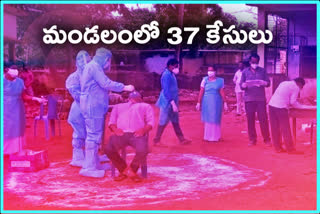 37 positive cases in a single day in Rampachodavaram