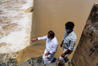 tdp chief secratary visits rajoli anakattu in ccadapa dst