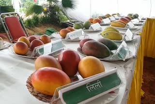 5 day fruit fair held in ladwa vidhan sabha Kurukshetra