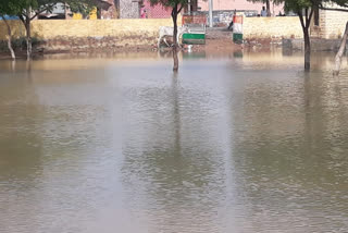 Heavy rain in Bhopalgarh, आसोप में जमकर बरसे बदरा