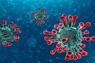 coronavirus