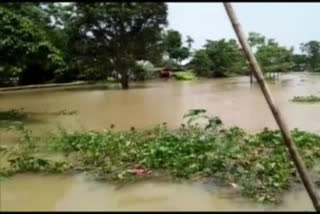 Flood Report assam etv bharat news