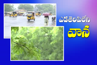 rains in adilabad district