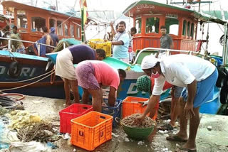 Beypore  Beypore fishing port  temporarily  closed  ബേപ്പൂർ മത്സ്യ ബന്ധന തുറമുഖം  മത്സ്യ ബന്ധന തുറമുഖം  ബേപ്പൂര്‍  കൊവിഡ്