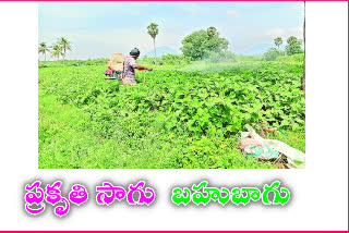 organic farming