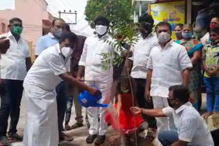 Planting of one lakh saplings in Salem