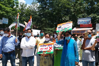 congress workers protest  in kullu against himachal government
