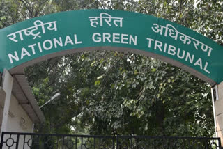 NGT seeks report on plea seeking action against discharge of waste by pharma industries in Himachal