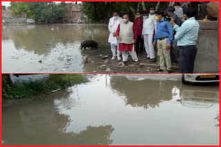 north mcd mayor jayaprakash blamed delhi government for water logging in delhi