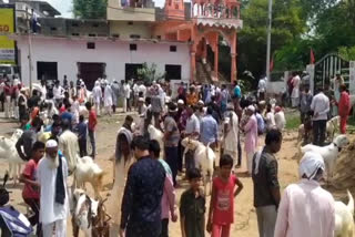 View of goat market