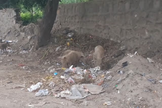 wastage dump near Qutub Minar in delhi