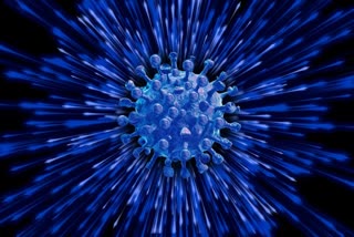 Brazil reports nearly 68,000 virus infections