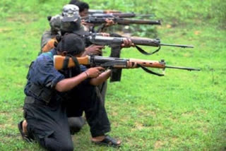 Two Maoists killed in encounter with security personnel in Odisha