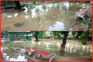 water logging at goyala dairy park local people upset