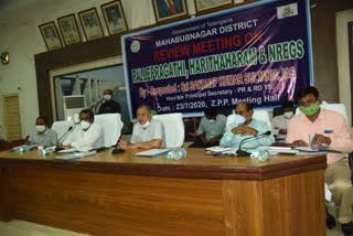 review meeting on palepragati and harithaharam at mahabubnagar