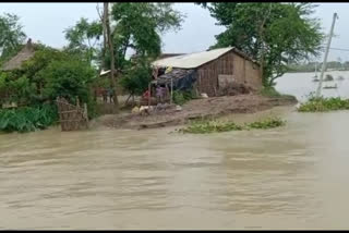 Bihar flood  Flood situation worsens in Bihar  Tejashwi Yadav  Patna news  Chief Minister Nitish Kumar  Rashtriya Janata Dal news  7.65 lakh people affected  பிகார் வெள்ளப்பாதிப்பு  நிதிஷ்குமார்  பிகார்  பிகார் வெள்ளம்  வெள்ள பாதிப்பு எண்ணிக்கை