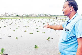 farmers problems as labours are not available due to corona affect