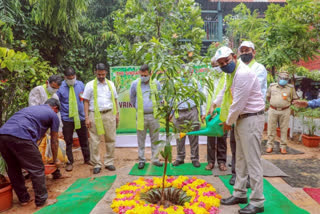 Large plants this year in Singareni areas: Sridhar