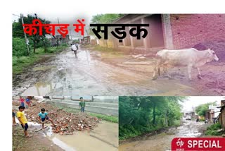 worst-road-in-smart-city-where-mud-is-mud-in-jabalpur