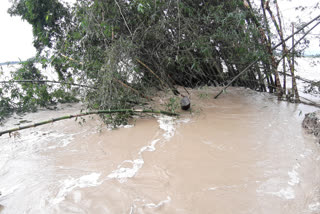 assam-flood-20-93-people-have-lost-their-lives