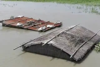 দুই বানাক্ৰান্ত অঞ্চলৰ বিপৰীতধৰ্মী ছবি