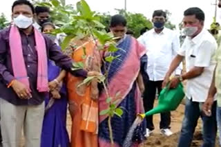 haritha haram