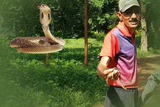 Sanjay is playing an important role in saving snakes