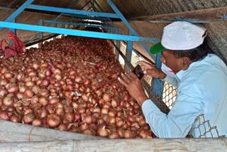 unknown-put-urea-in-onion-stock-at-junnar-pune