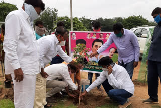 minister ktr birthday celebrations in mahabubabad distrct