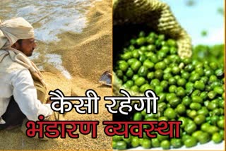 crops purchased in Sriganganagar,  Sriganganagar news