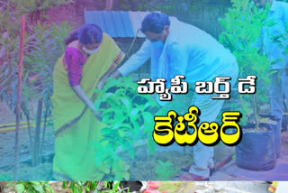 minister errabelli and his wife planted saplings on the occasion of ktr's birth day