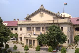 allahabad high court dismisses plea for ban on bhoomi poojan