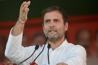 Rahul Gandhi says govt rubbishing his warnings on COVID-19, China