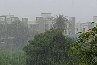 rain-in-palghar-after-a-week-of-thunderstorms-consolation-to-the-farmers