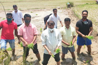 JDS activists planted chin in field