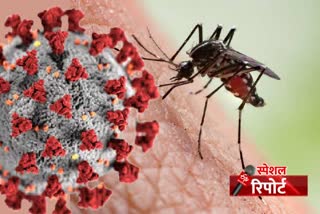 haryana goverment preparation for mosquito eradication