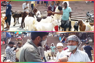 bakra bazar affected from corona at jama masjid delhi