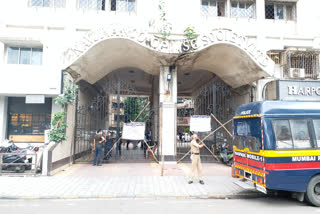 corona in mumbai