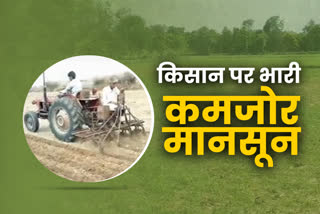 Karauli Kisan News